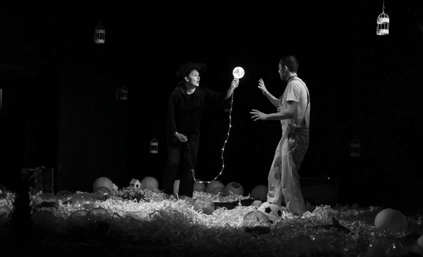 Черная курица