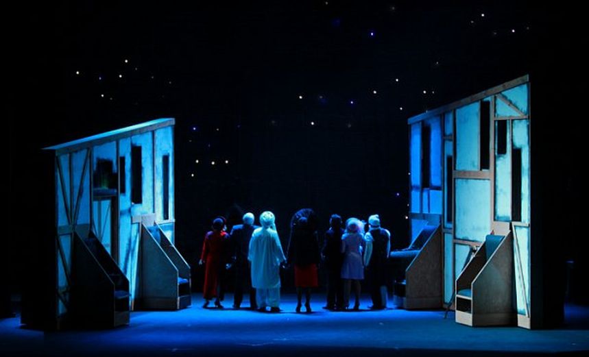 Миллионерша