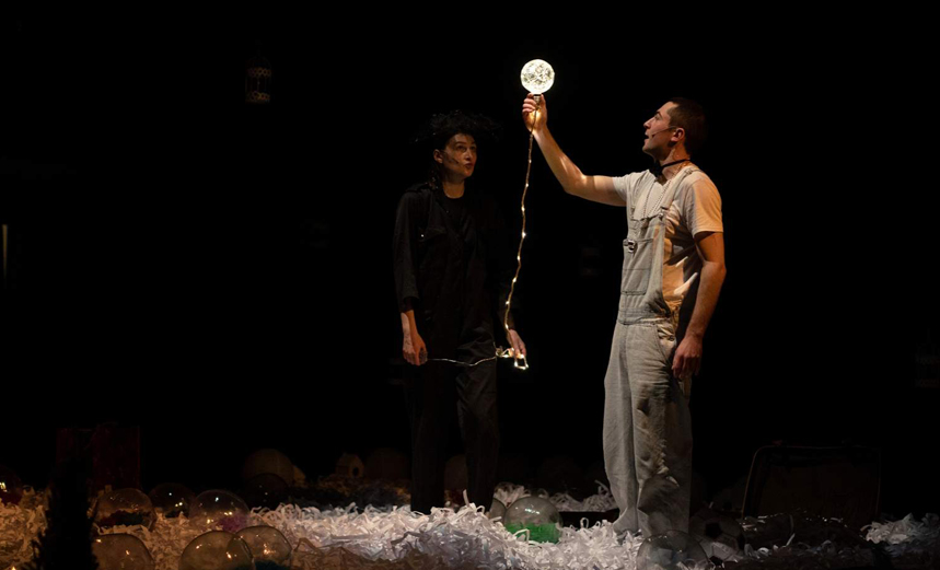 Черная курица