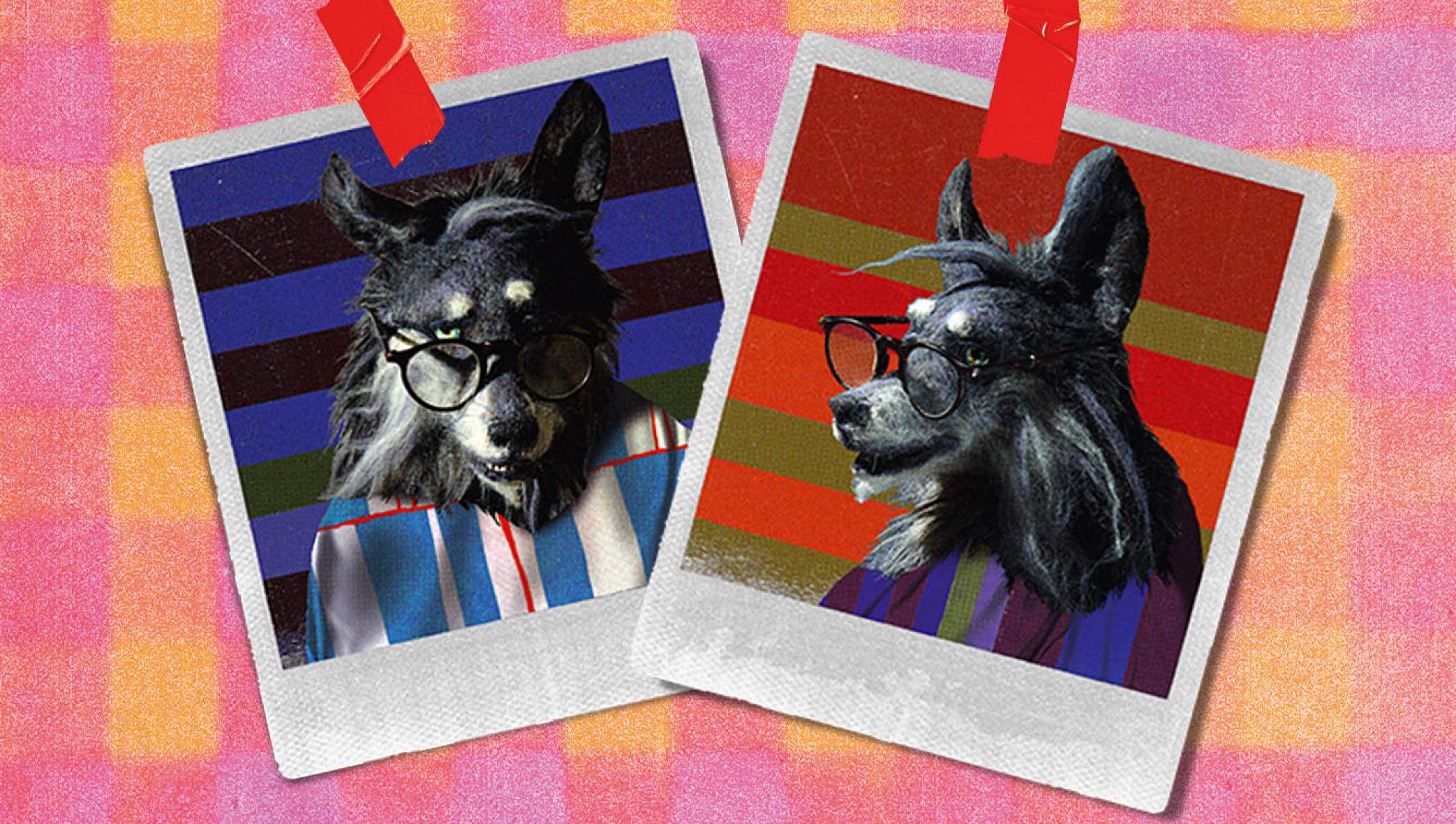 Три поросёнка. Ой