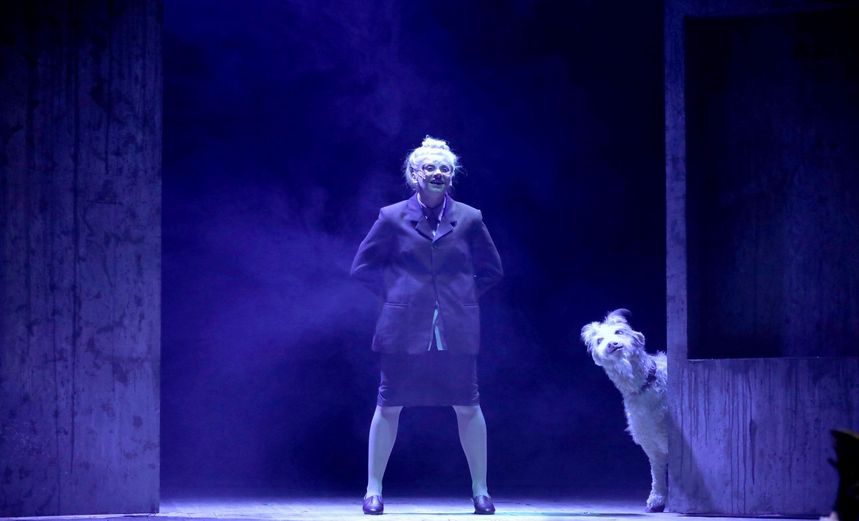 Женитьба. Трагедия