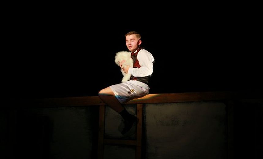 Миллионерша