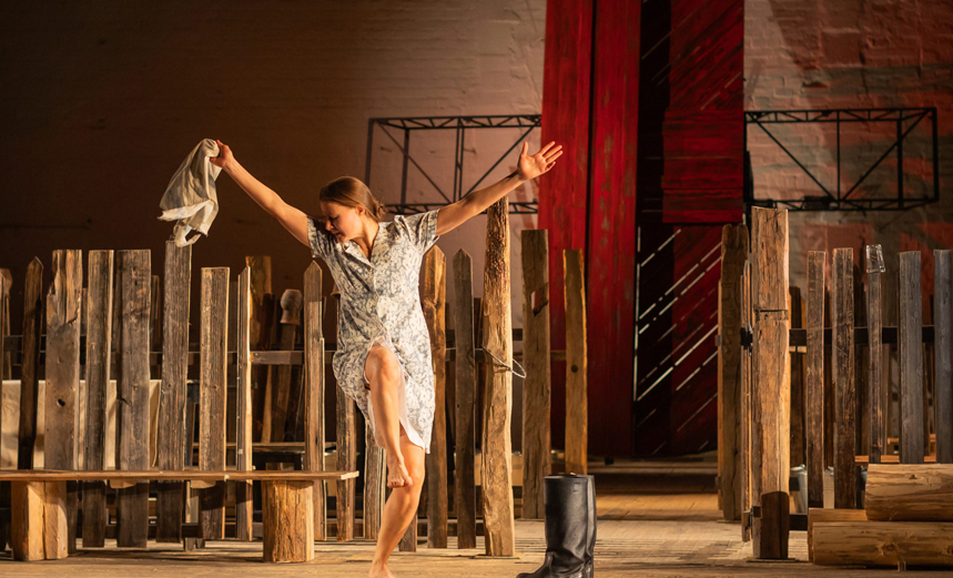 Деревянные кони